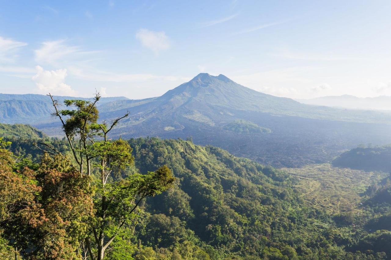 Mount Batur Villa 킨타마니 외부 사진
